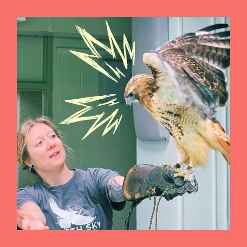 TC Summer Art Camp: Birds in the Wild (grades 3-5)