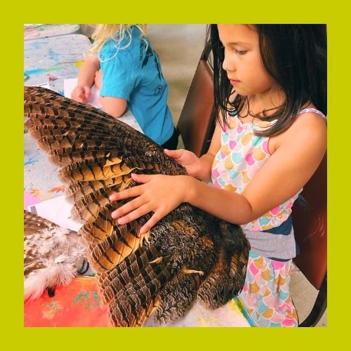TC Summer Art Camp: Birds in the Wild (grades 1-3)